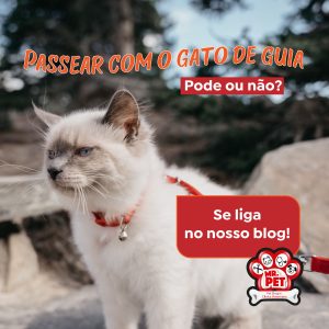 Meu gato pode passear com guia na rua??